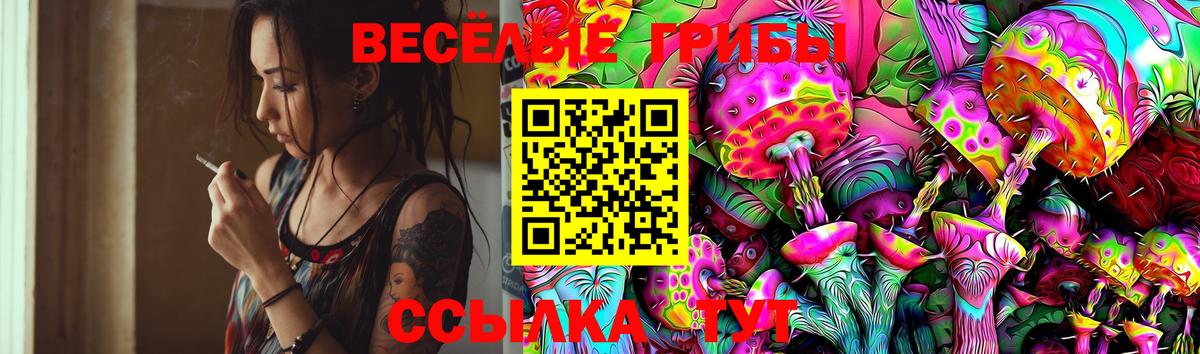 Галлюциногенные грибы Psilocybe Новый Уренгой
