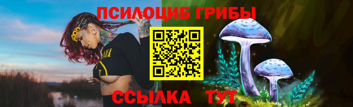 Псилоцибиновые грибы MAGIC MUSHROOMS  Вход с VPN  Новый Уренгой  Псилоцибиновые грибы мухоморы 